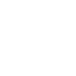 SoleSchiff